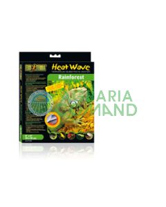 HEAT WAVE  RAINFOREST  MEDIUM